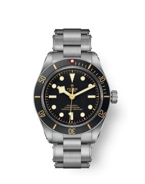 Tudor Black Bay